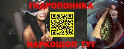 стафф Сланцы
