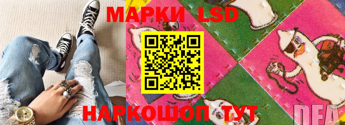 Наркотические марки 1500мкг  Вход с VPN  Новоалександровск  Наркотические марки  Наркотические марки 1500мкг 